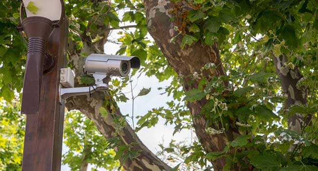 San Francisco Area Park Installs Security Cameras to Cut Crime